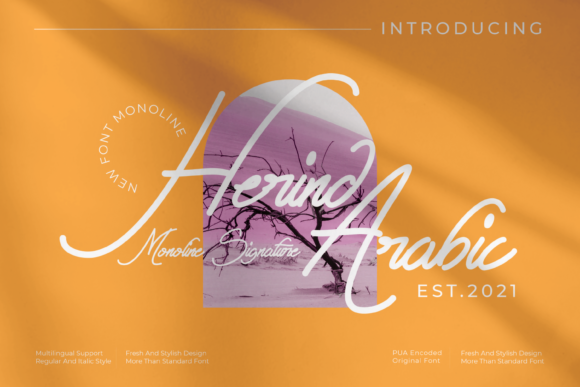 Herind Arabic: A Designer’s Honest Review