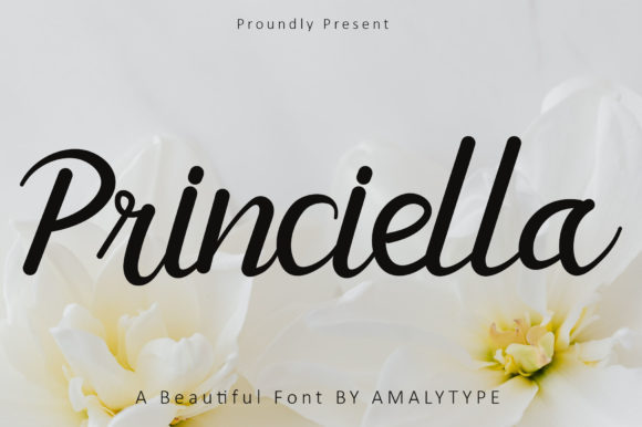 Princiella: A Luxury Script Font for Branding