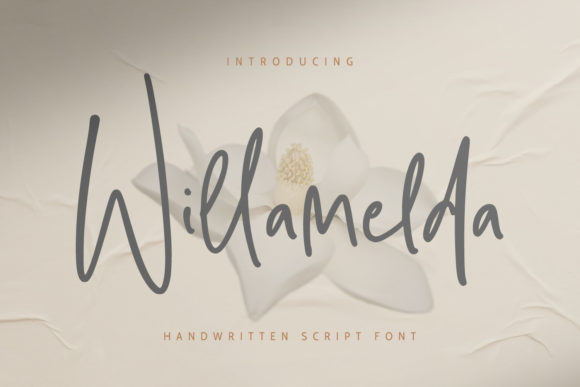 Willamelda: A Script Font for Bold Campaigns